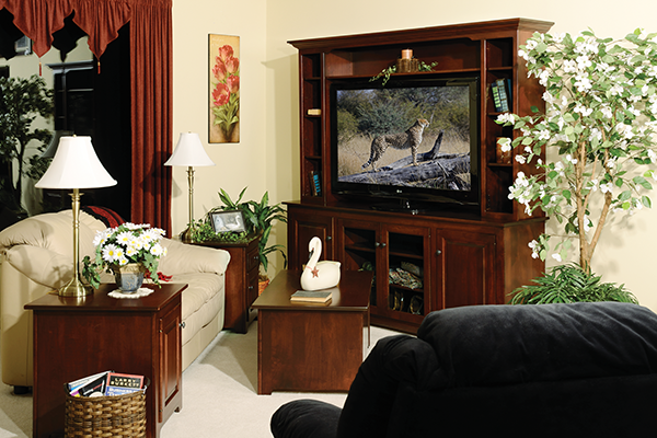 Entertainment Furniture